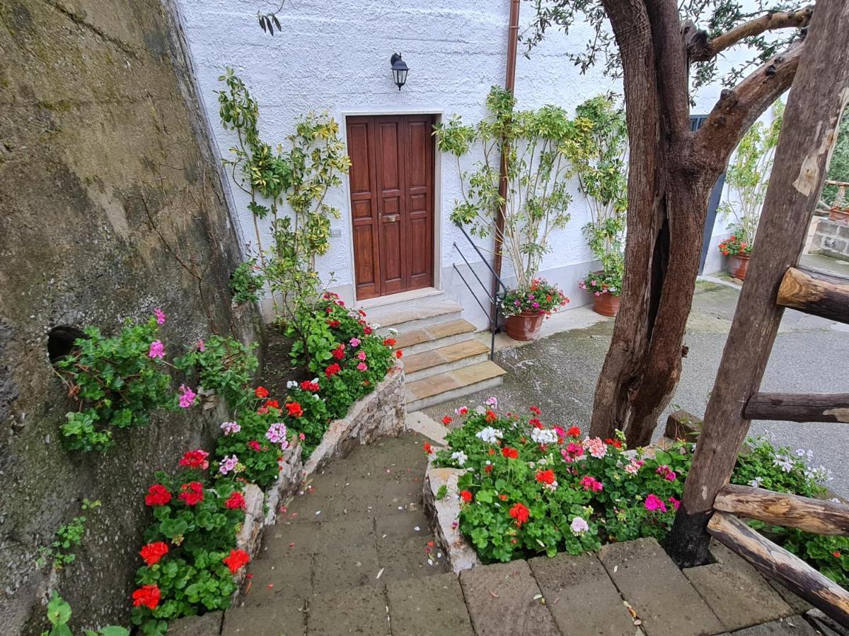 Casa Betania Da Peppe Hébergement de vacances *